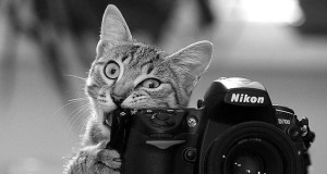 pochemu-nel'zja-fotografirovat'-spjashhih-ljudej