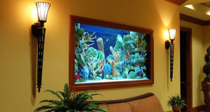 akvarium-po-fen-shuj-doma