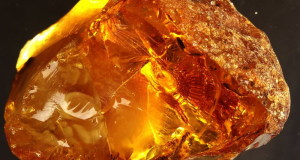 jantar'-kamen'-magicheskie-svojstva